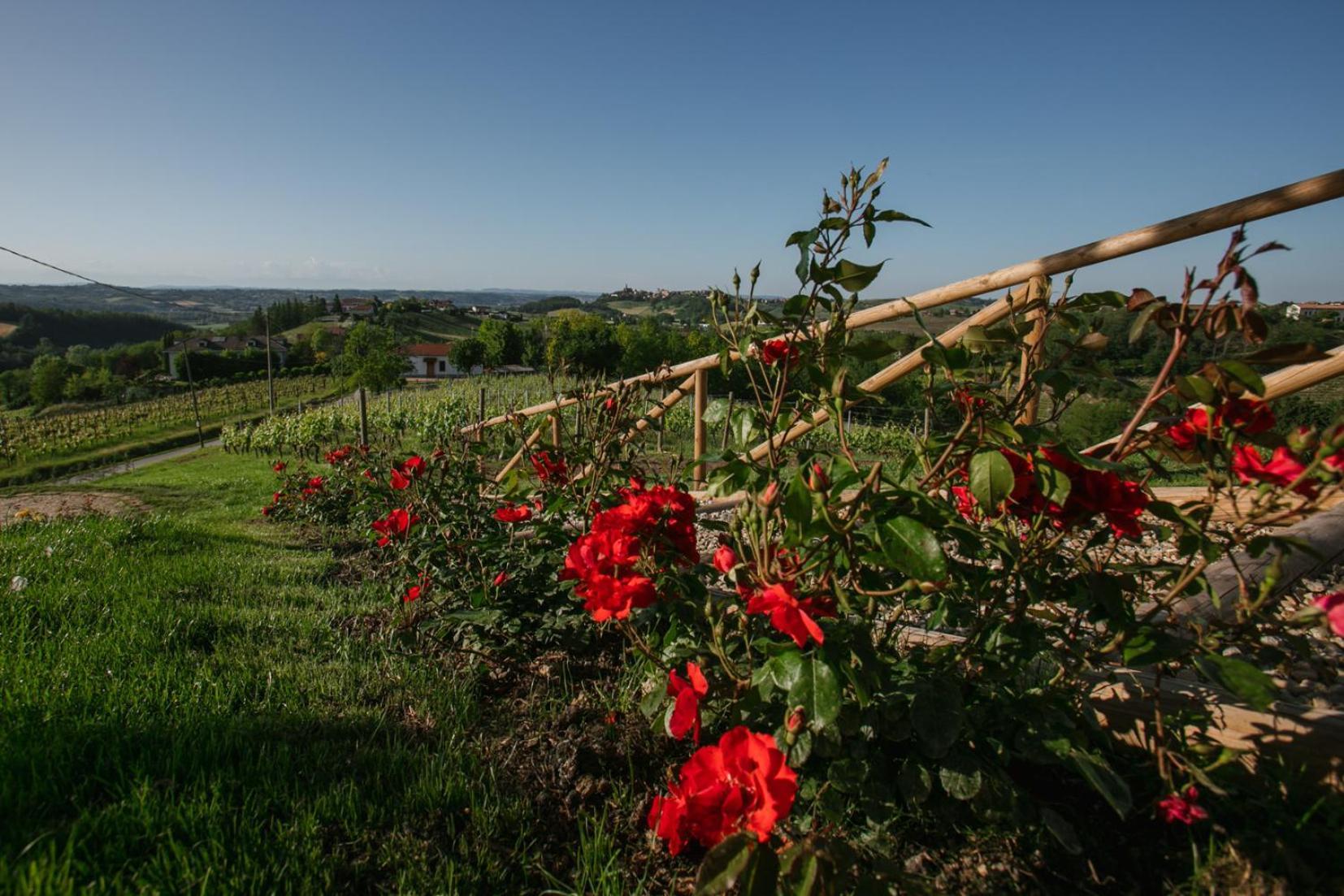 Agriturismo Bricco San Giovanni Asti Exterior foto